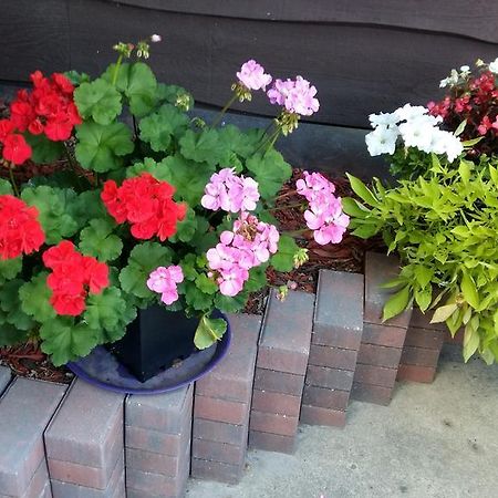 Wild Rose Bed & Breakfast 새스커툰 외부 사진